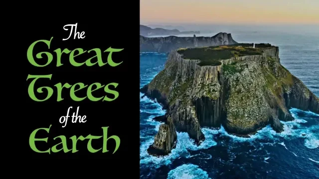 The Great Trees Of The Earth