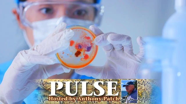 Anthony Patch - ''Pulse'' - ''WHO Monkeypox Declaration'' (Ep16) 081524