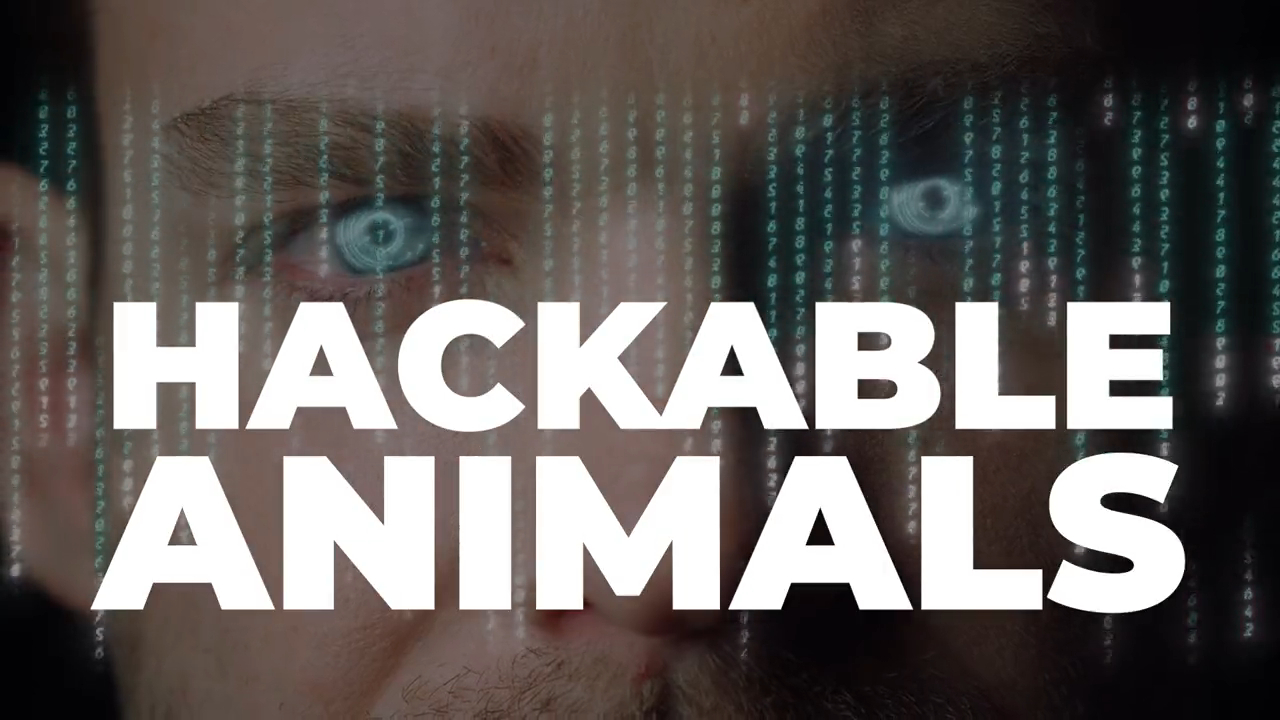 Hacking human beings, 5G & 6G