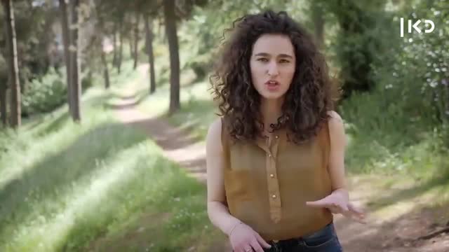 תגובה לכתבה של כאן11 על קרינה אלקטרומגנטית ודור5