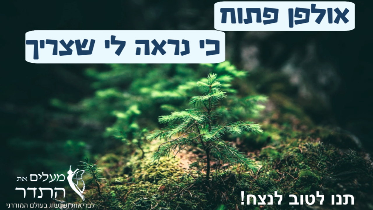 אולפן פתוח..כי נראה לי שצריך