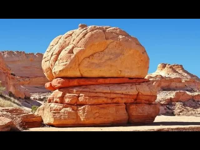 53. Giant Petrified Creatures and Beasts