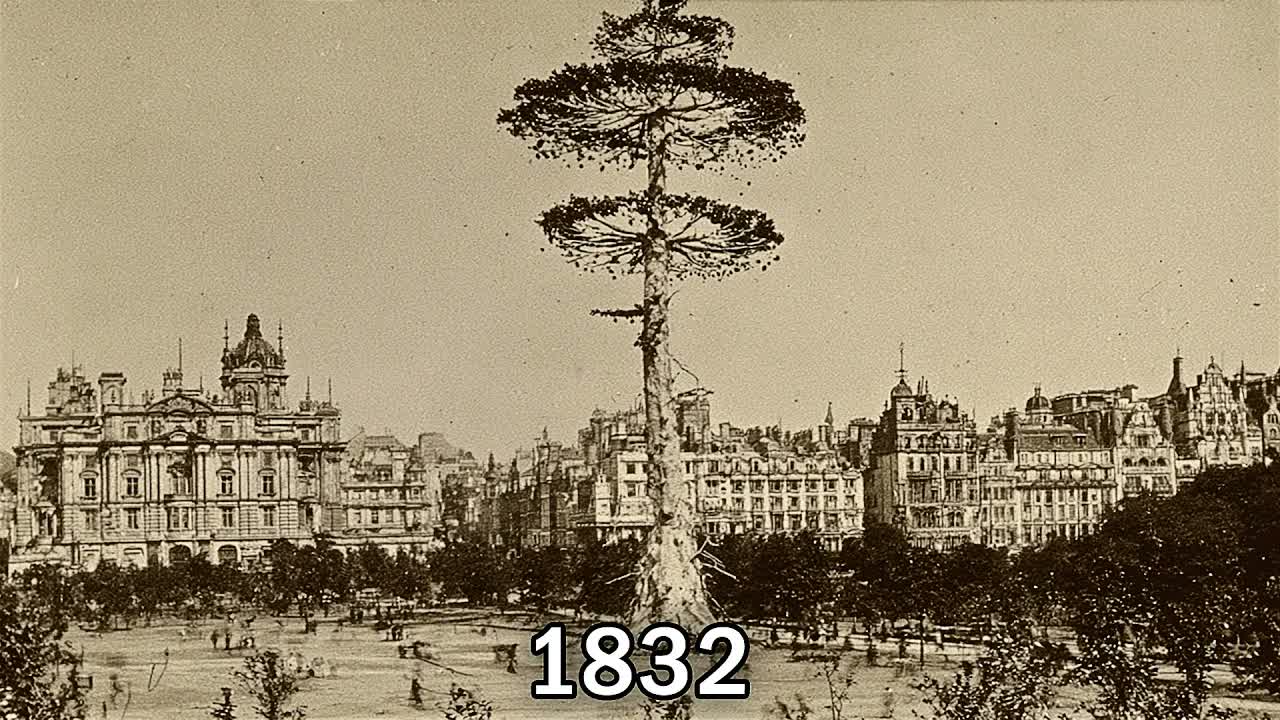 Tartaria Had Trees That Grew Infinite Food — Then They Burned Them All