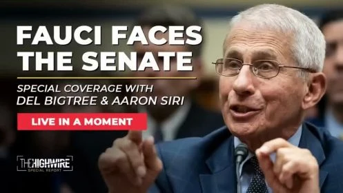 Fauci Faces the Senate | Special Coverage with Del Bigtree & Aaron Sir