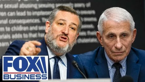 ‘LONG PRISON TERM’: Ted Cruz demands Fauci face JAIL TIME