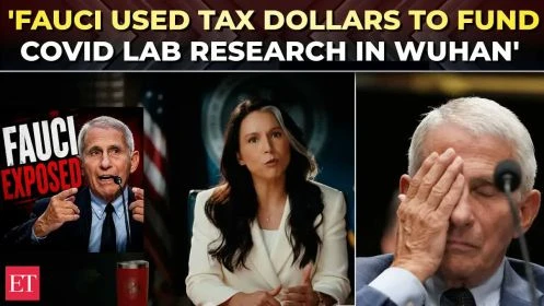 'Zero remorse. Zero accountability': Gabbard accuses Fauci of COVID cover-up, demands answers