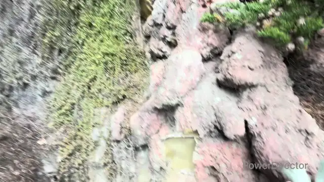 THE Red Brick Avalanche 🧱🐴🧱